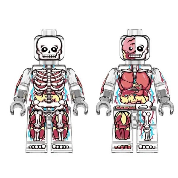 Anatomy Big 21.5cm Character Set